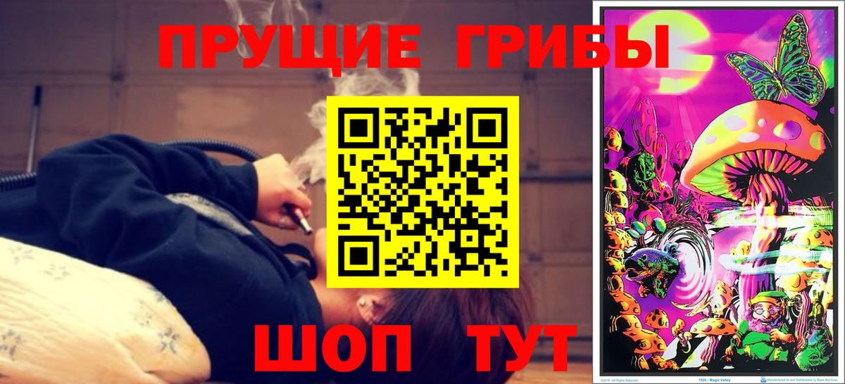 Псилоцибиновые грибы ЛСД  Вход с VPN  Котовск  наркота  Псилоцибиновые грибы ЛСД 